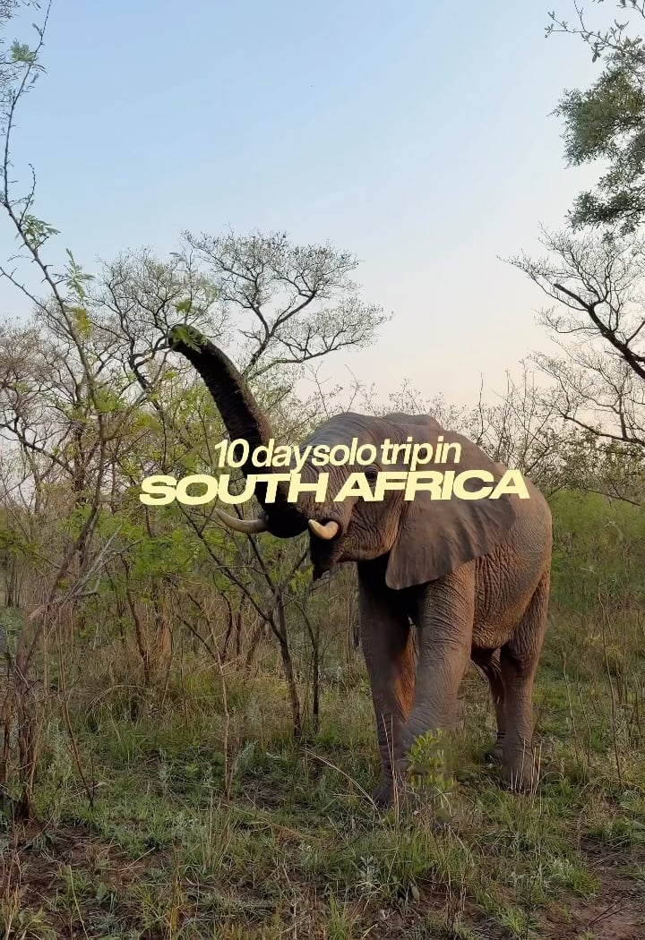 Kruger National Park 1