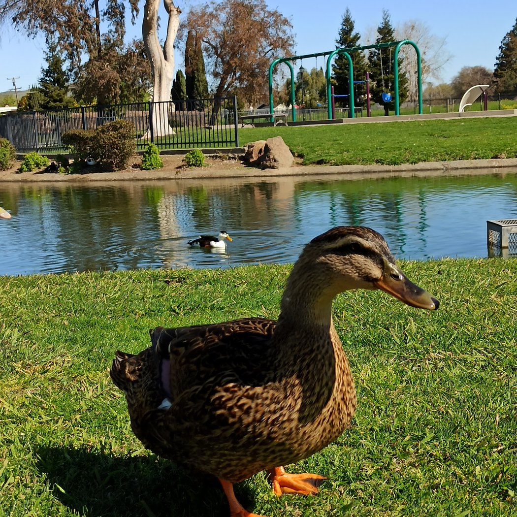 Dover Park 3
