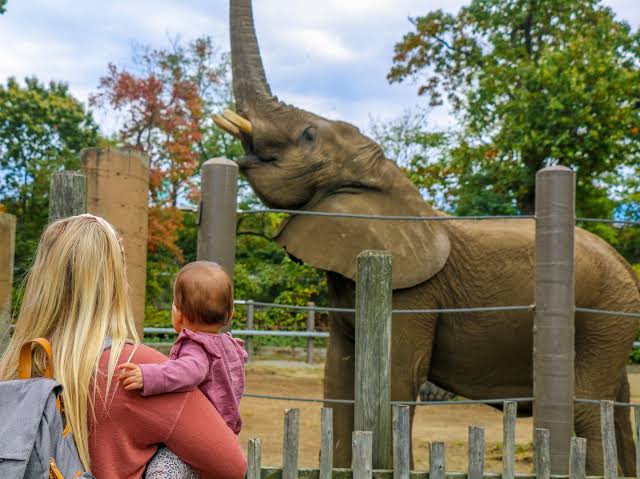 Roger Williams Park Zoo 1