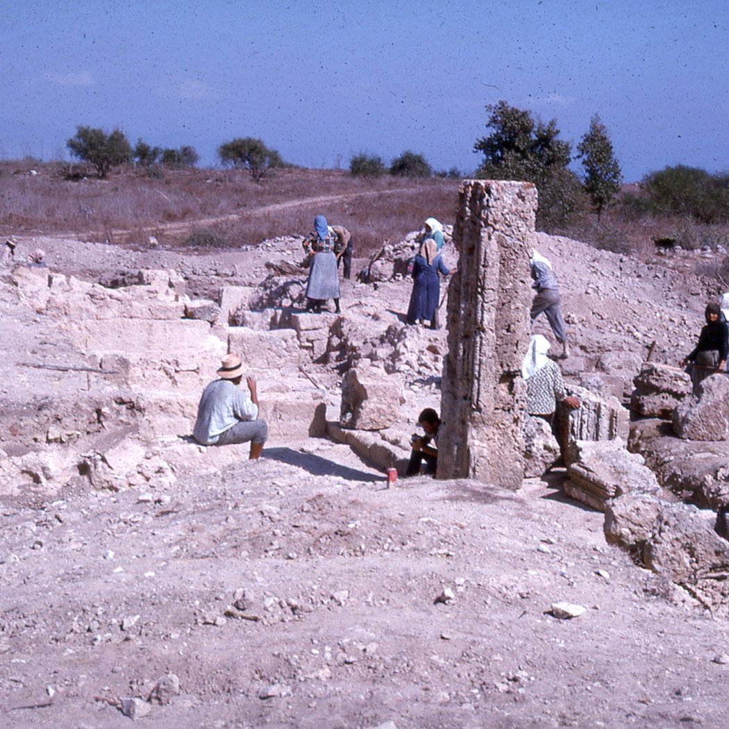 Les fouilles de Salamine : à la découverte d'une capitale antique de Chypre 1
