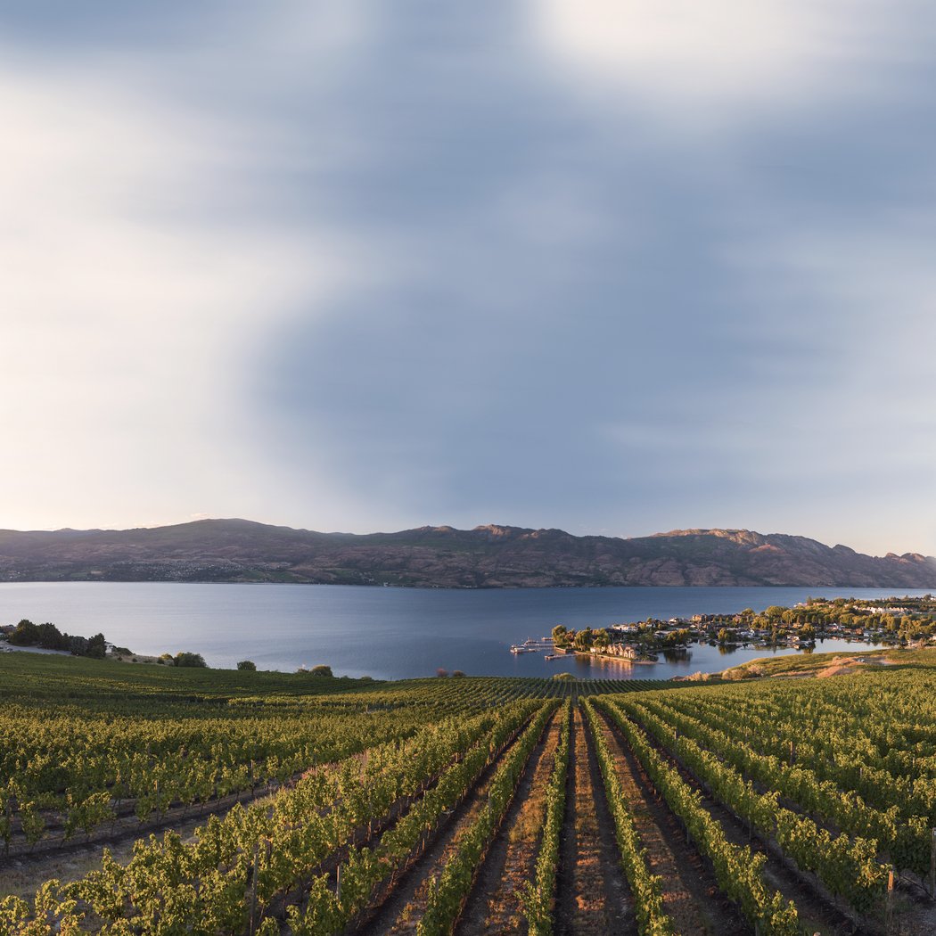 Quails' Gate Winery 2