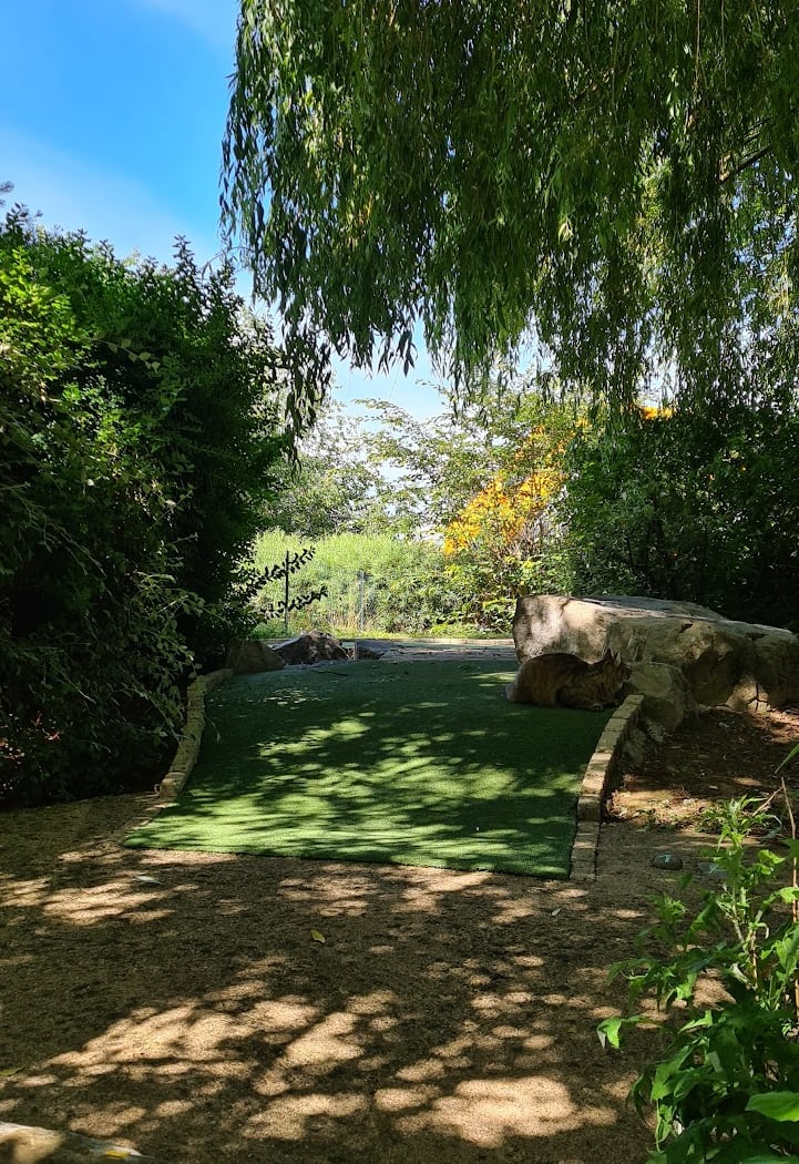 Golf Adventure Park 3