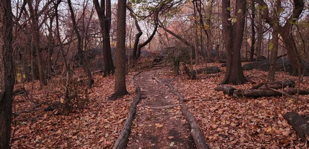 The Ramble 2