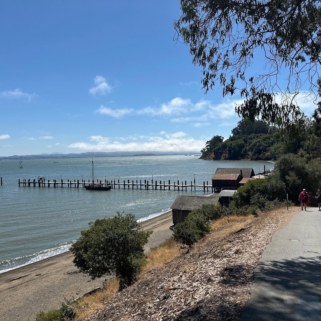 San Francisco Running Race 2