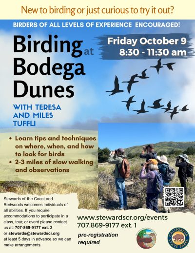 Birding at Bodega Dunes 1