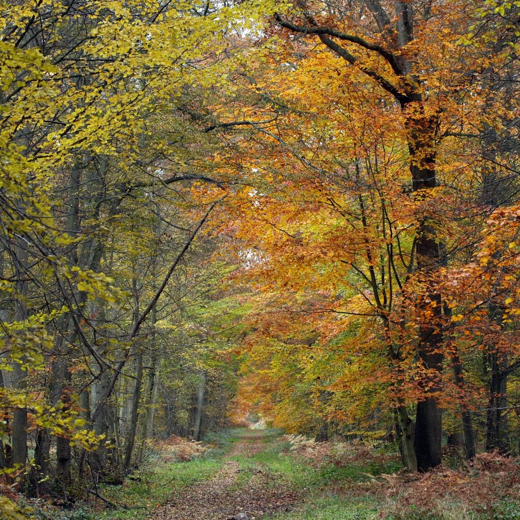 Maison du Parc naturel régional Oise-Pays de France 1
