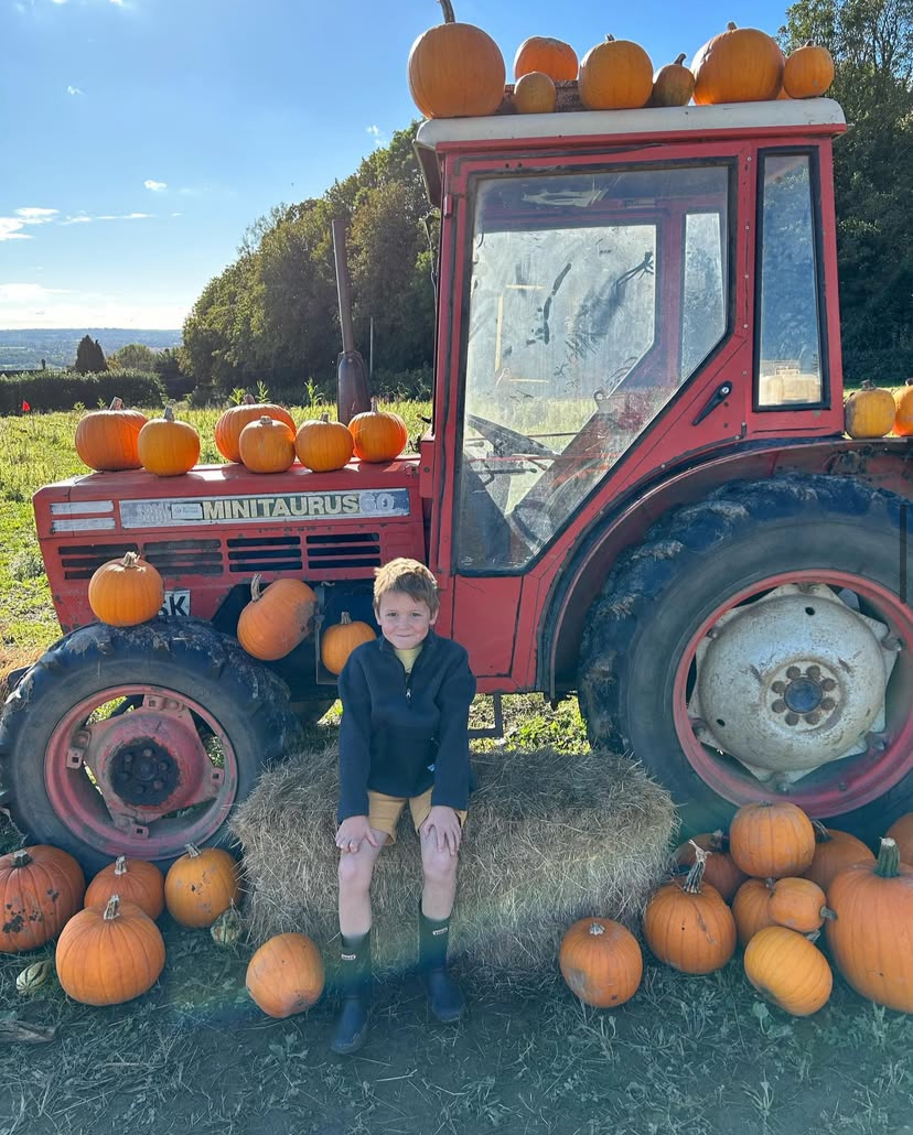 Loddington Pumpkin Patch 2