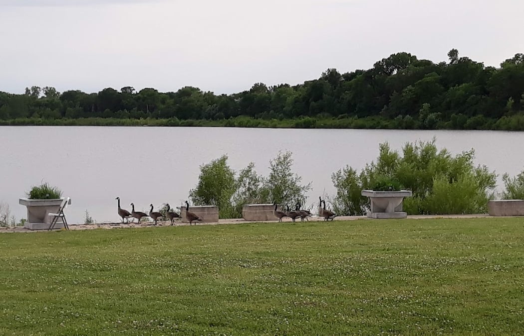 Terry Trueblood Recreation Area 3
