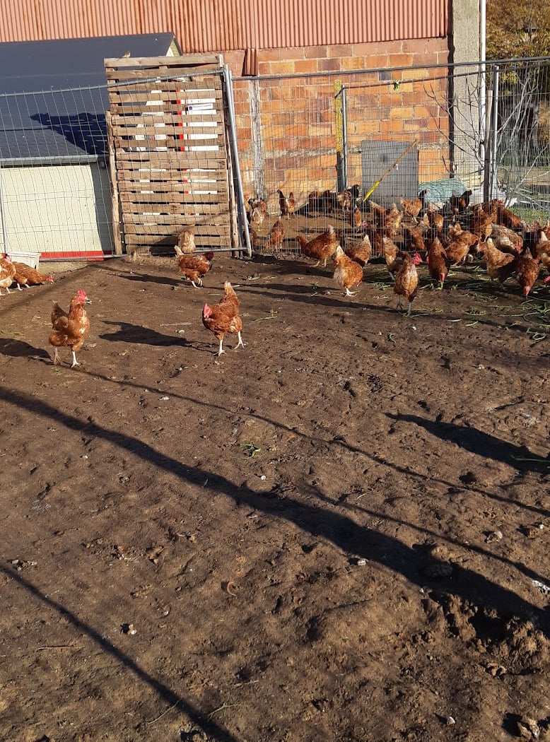 Ferme de La Pouletterie 3