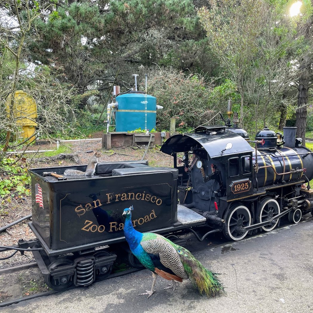 Little Puffer Steam Train Depot 2