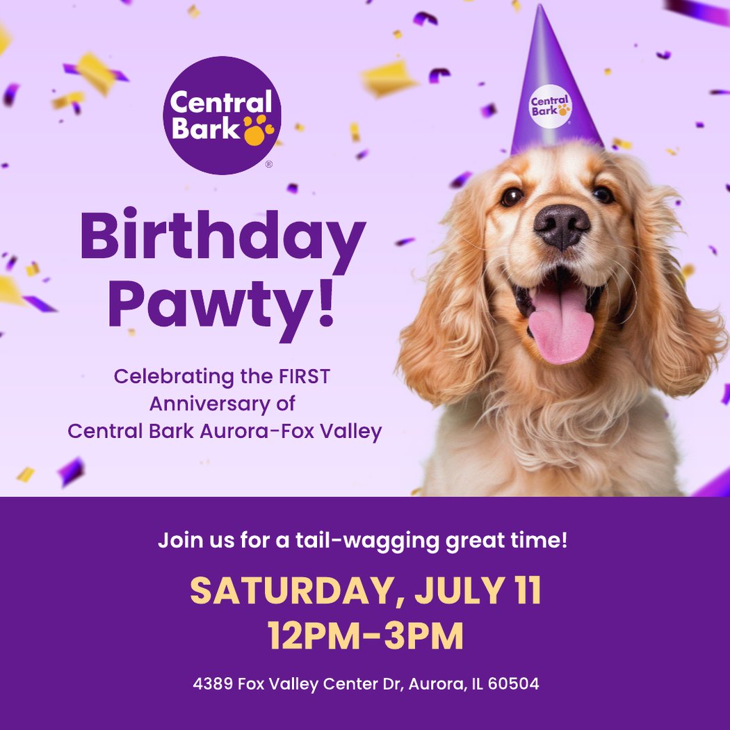 Bark in the Park 1