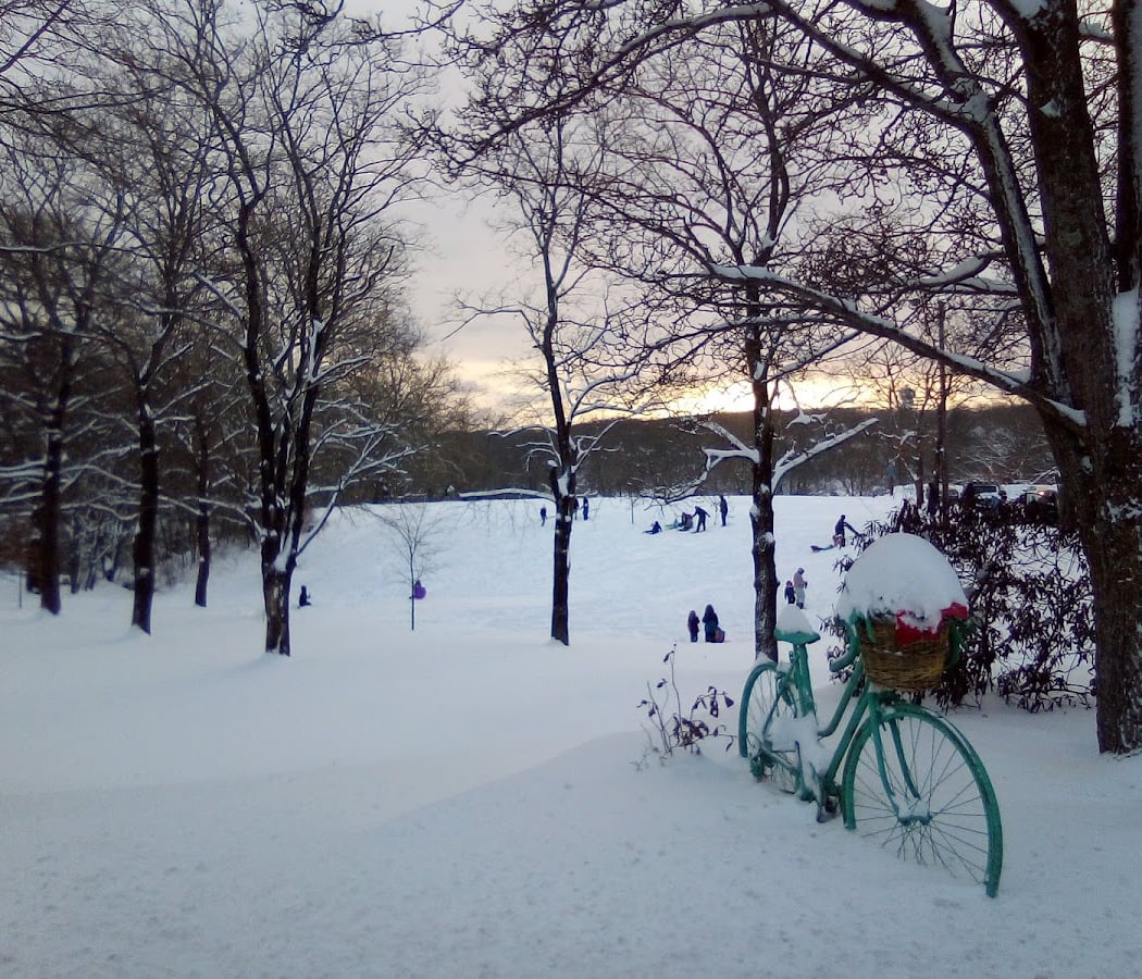 Cold Spring Park 2