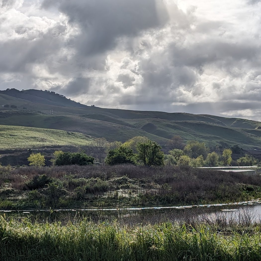 Coyote Creek Trail, San Jose, CA 1