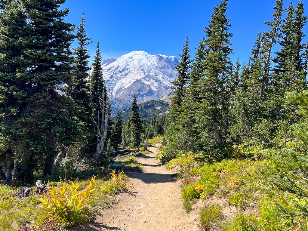 Lookalike Hike 3