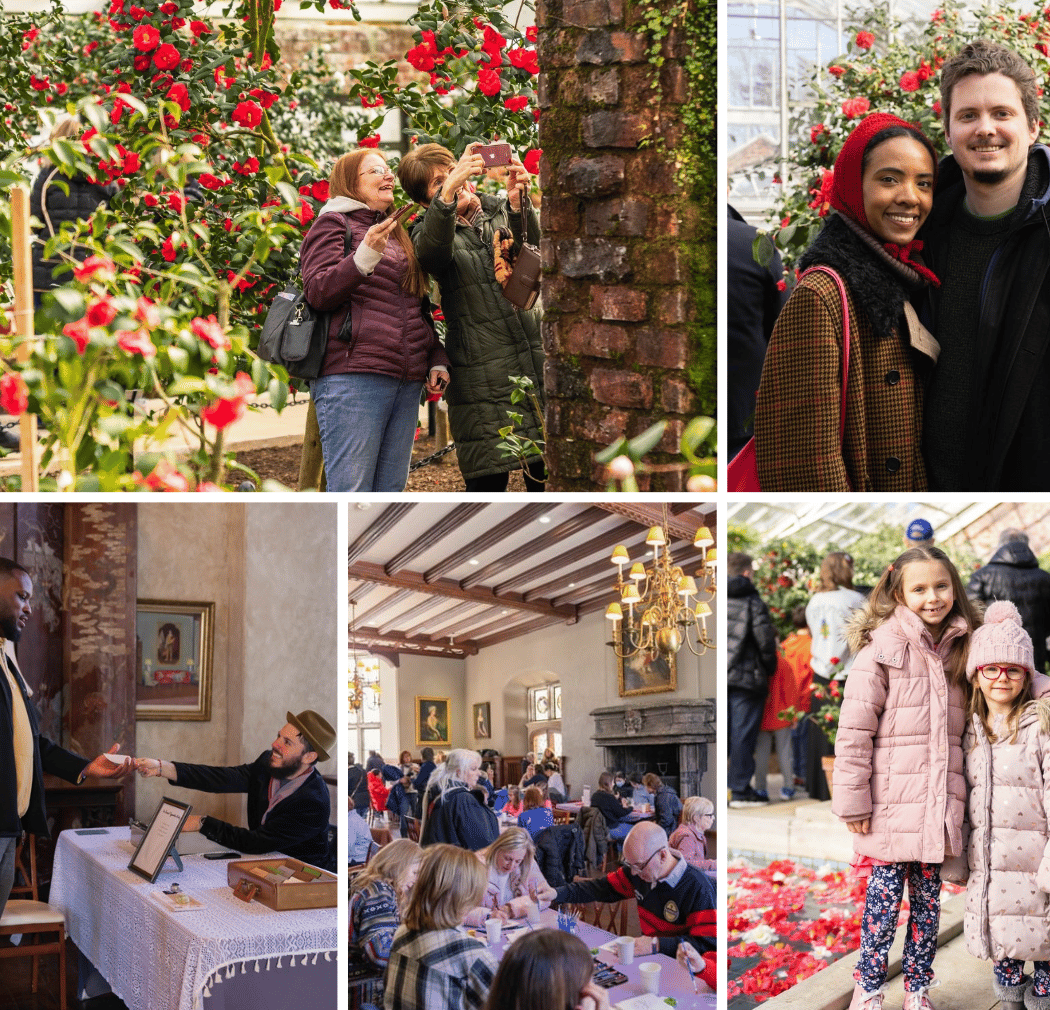 The Camellia Festival 1