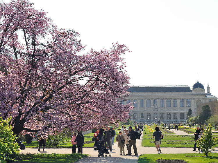 Jardin des Plantes 2