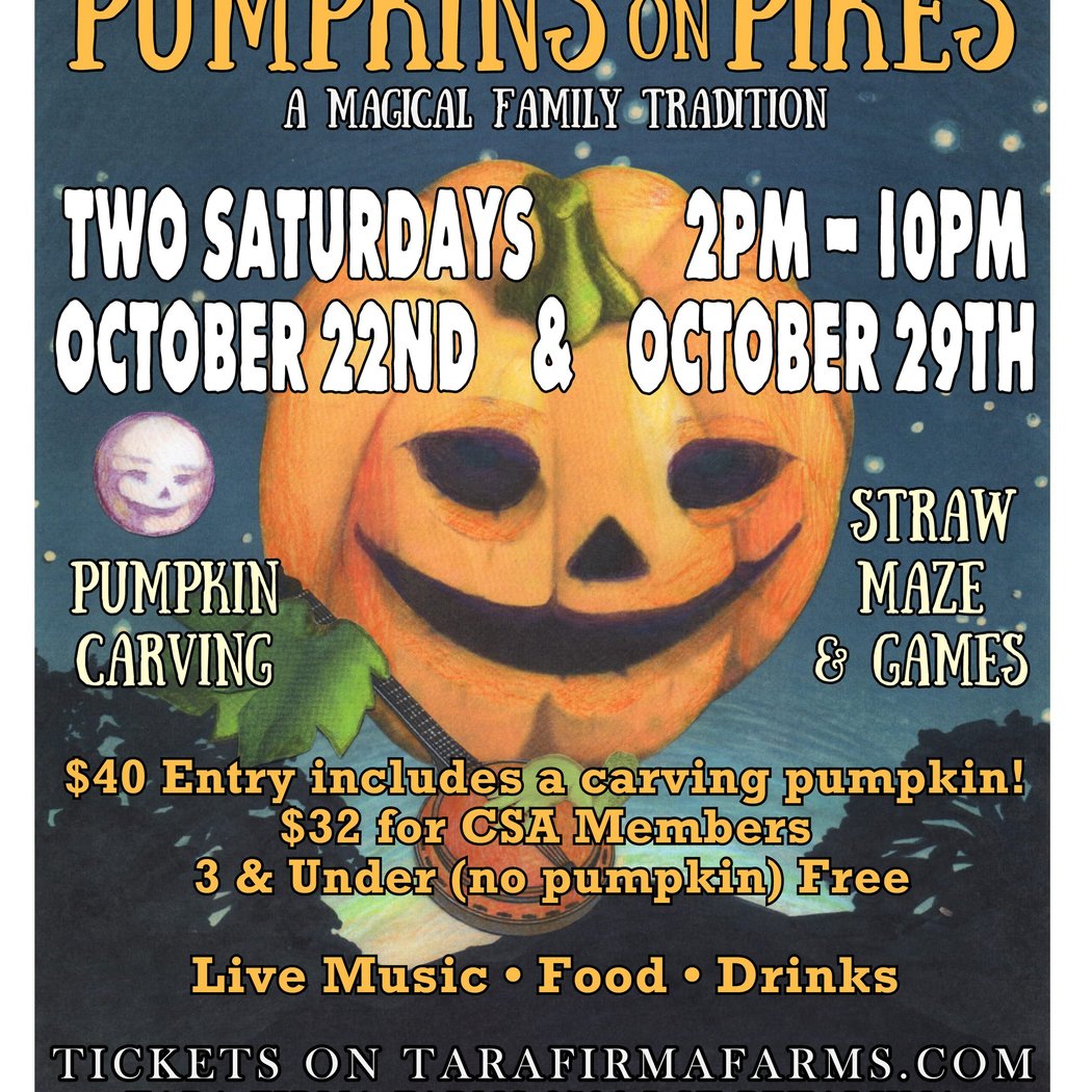 Pumpkins on Pikes 1