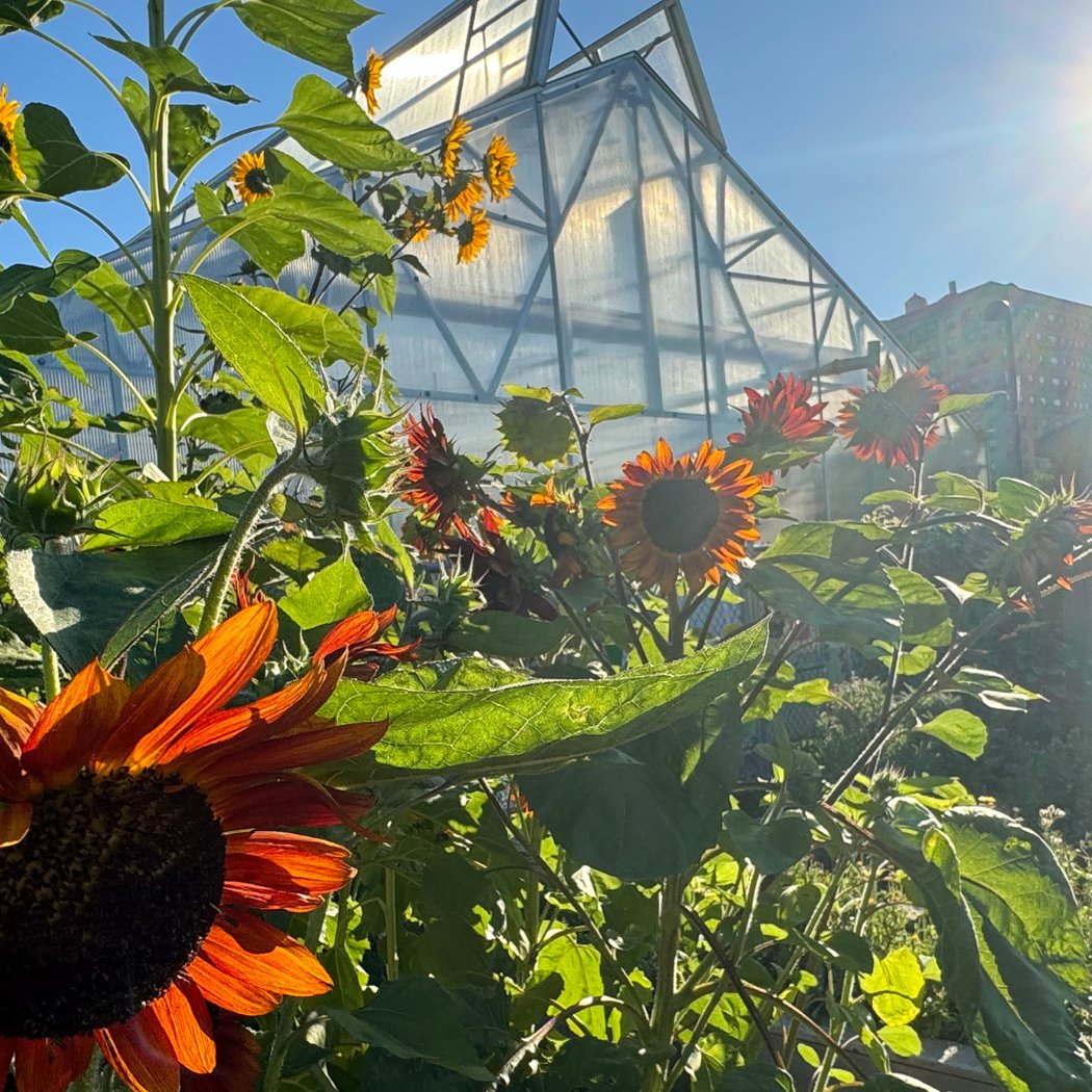Gay in The Garden: Botanical Suncatchers 1