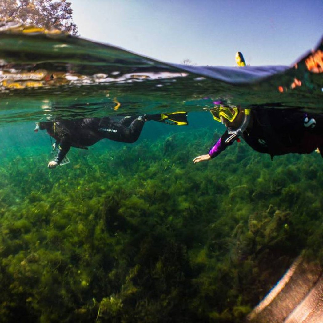 Splash into Science Snorkel Program 3