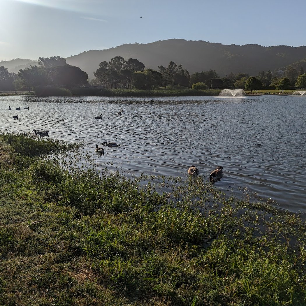 Lagoon Park 3