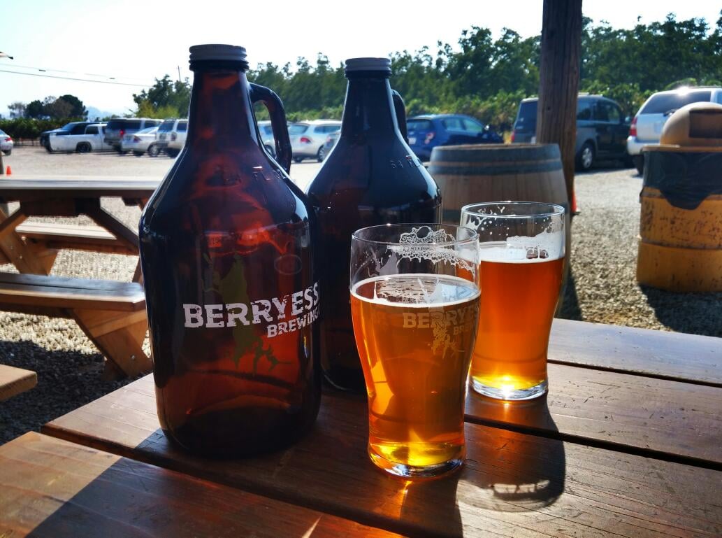 Berryessa Brewing Co. 1