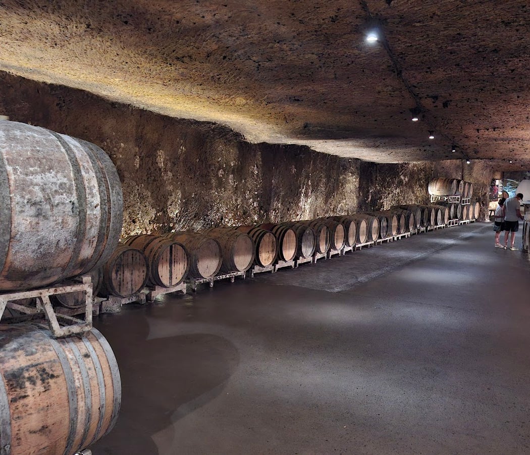Chinon Vintage Tour 3