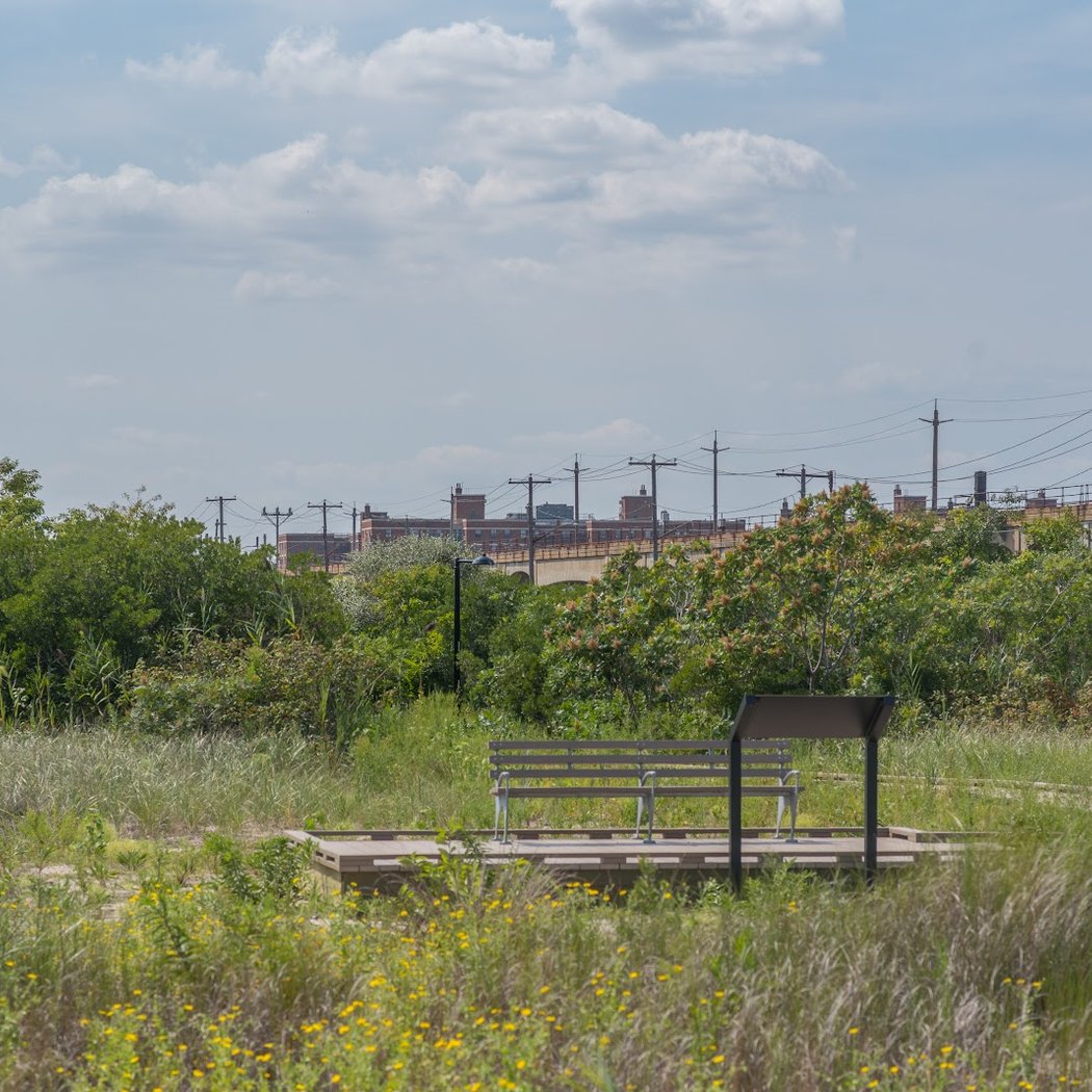Beach Nature Reserve 3