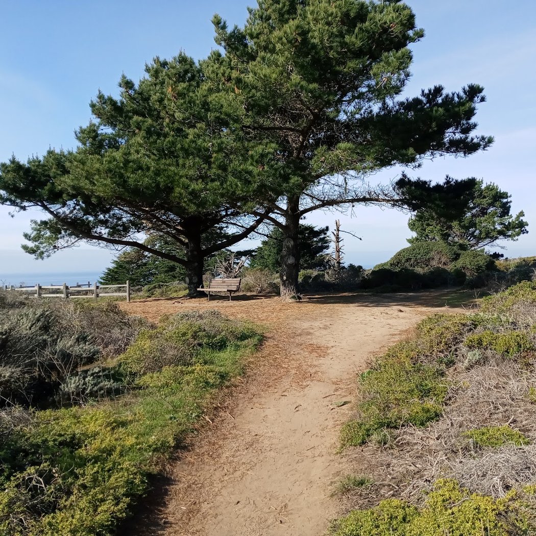 Princeton by the Sea Park 1