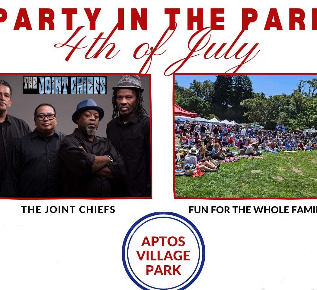 Party in the Park 1