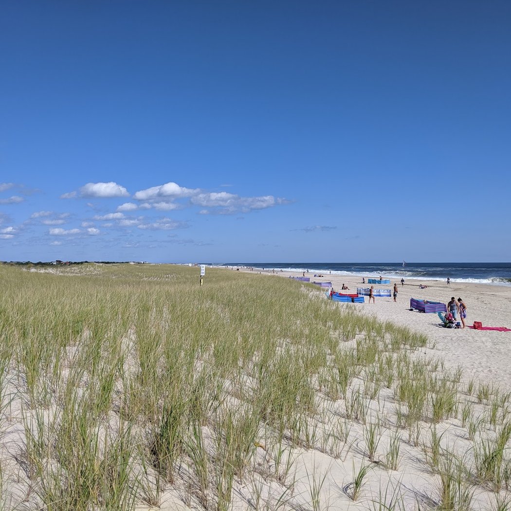 Guided Walk Around the Western End of the National Seashore 3