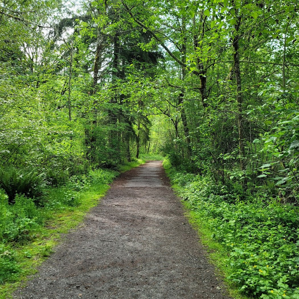 Cougar Mountain Trail Run Series 2