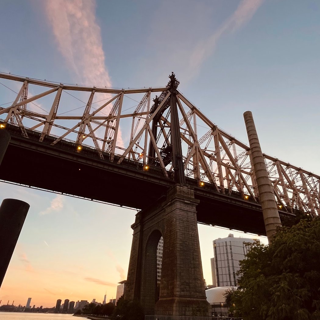 Roosevelt Island 2