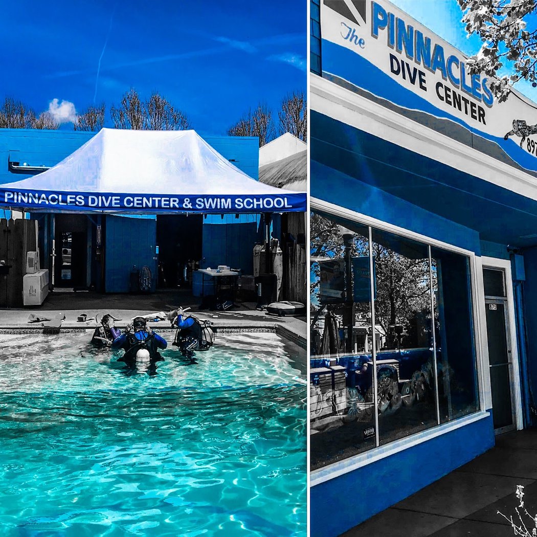 Pinnacles Dive Center Scuba Camps 1