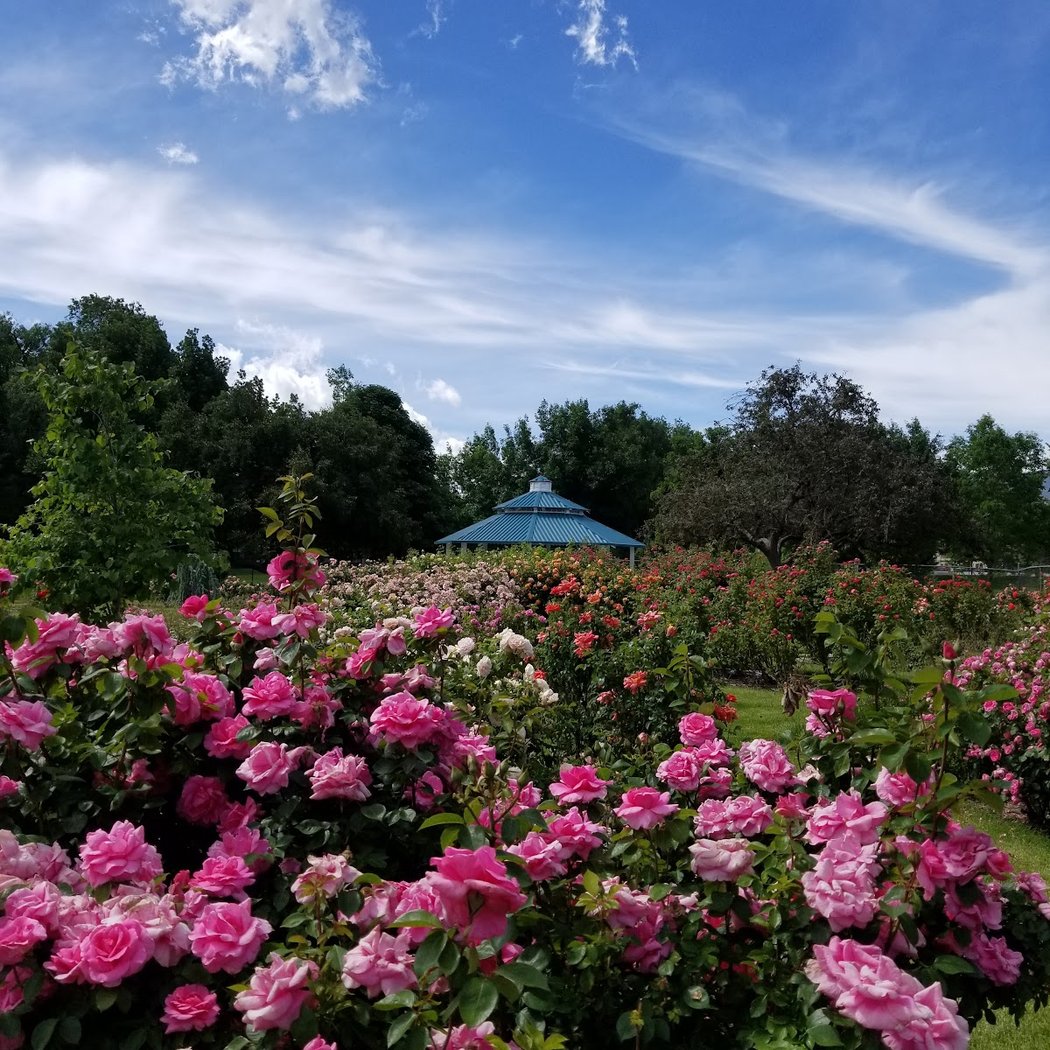Idlewild Park 1