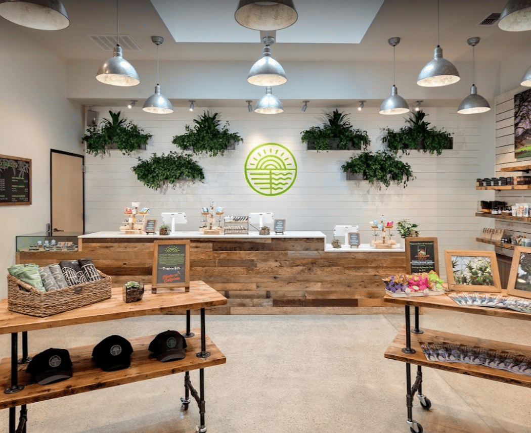 Solful Cannabis Dispensary - Sebastopol 3