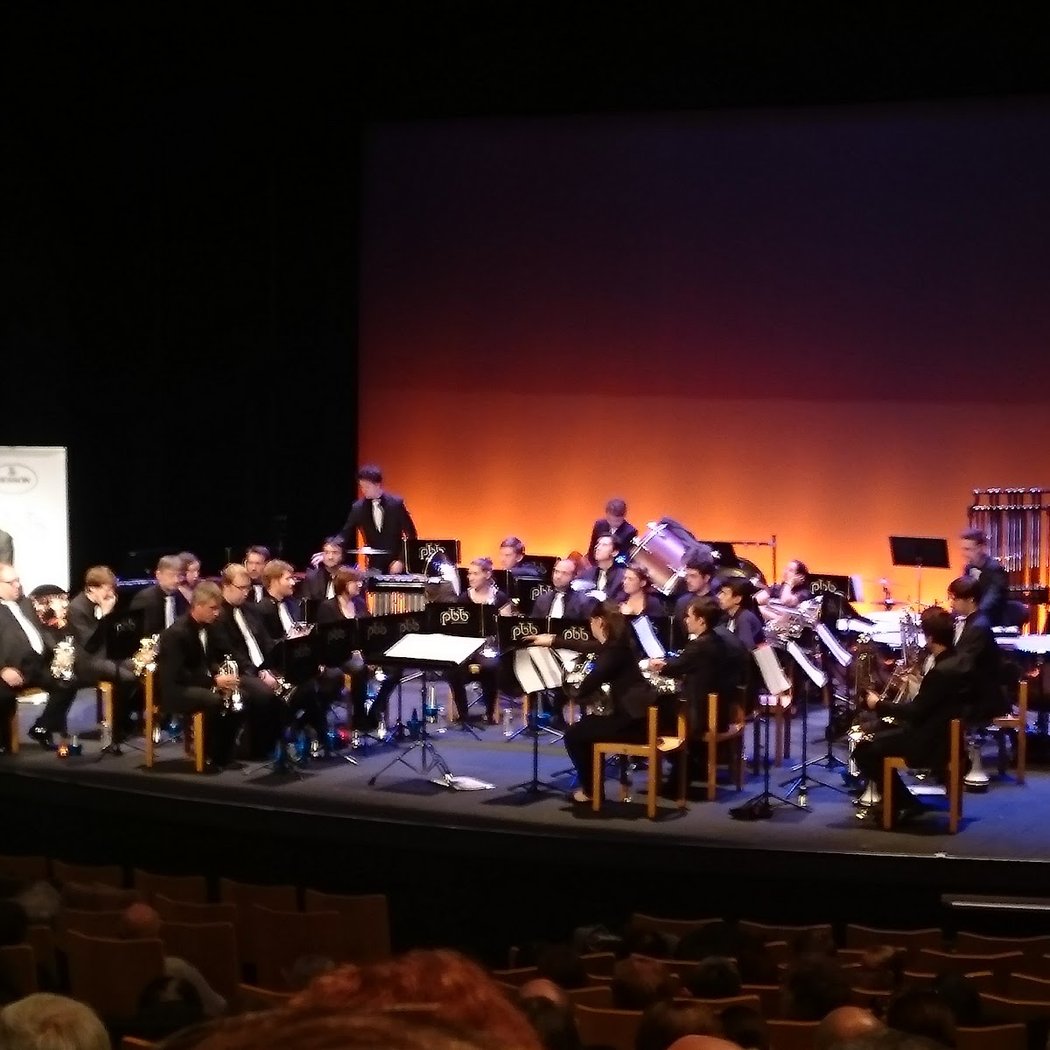 LE ROI QUI N’AIMAIT PAS LA MUSIQUE EN RÉGION 2