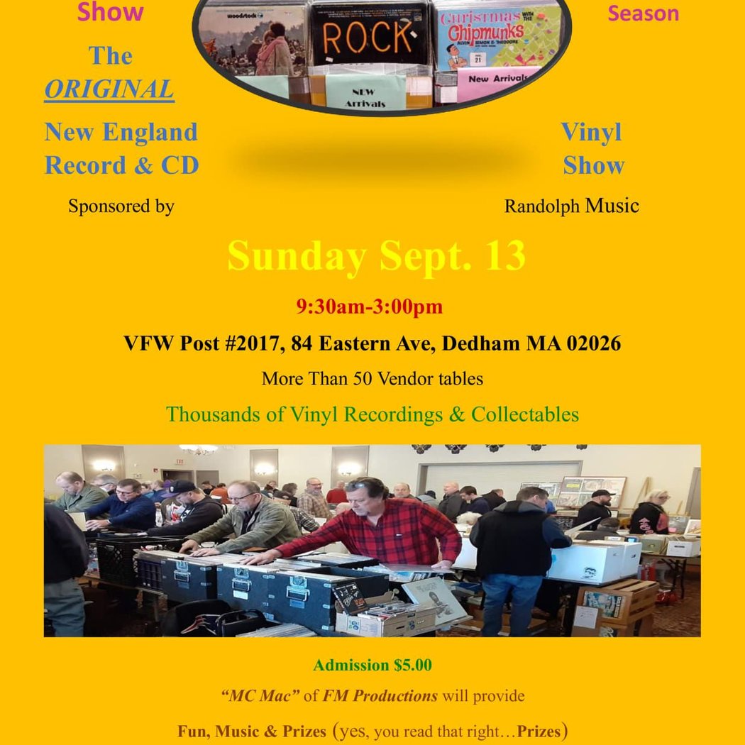 Vinyl Record Show 3