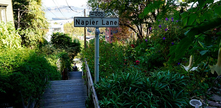 Filbert Steps 3