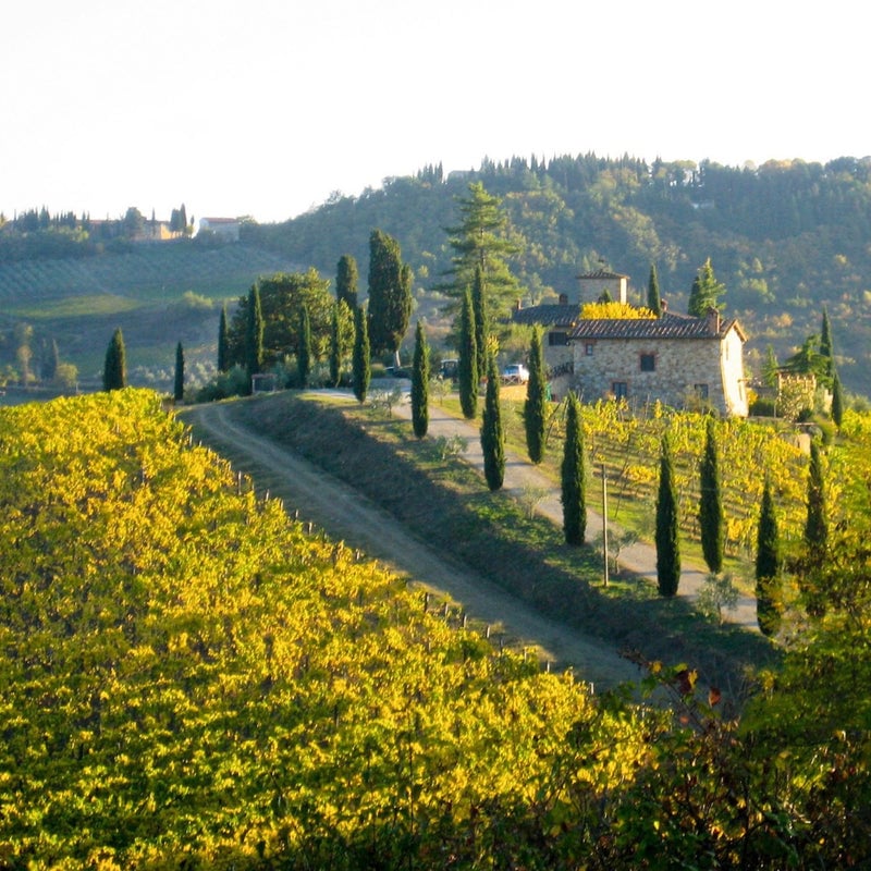 Italian Wine Essentials Certificate Program 2