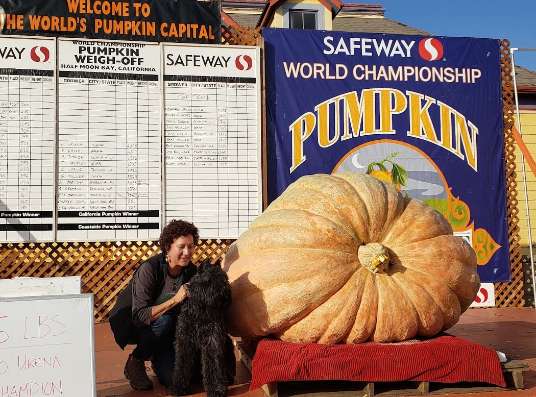 Safeway World Championship Pumpkin Weigh-Off 2