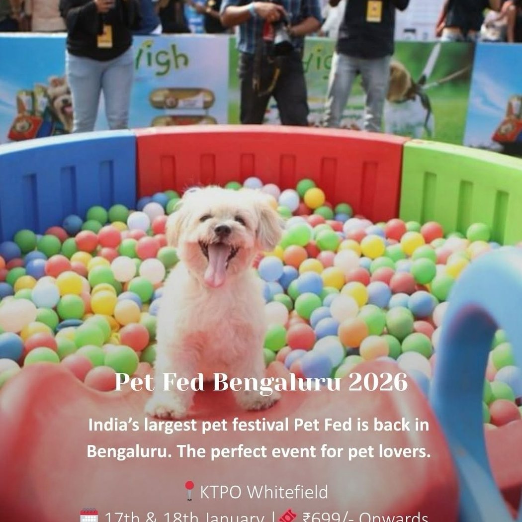 Pet Fed Bengaluru 2026 1