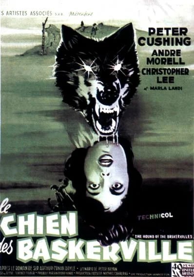 Le Chien des Baskerville 1