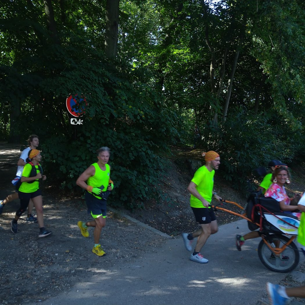Parc Forestier Rive-Gauche de la Piste 1