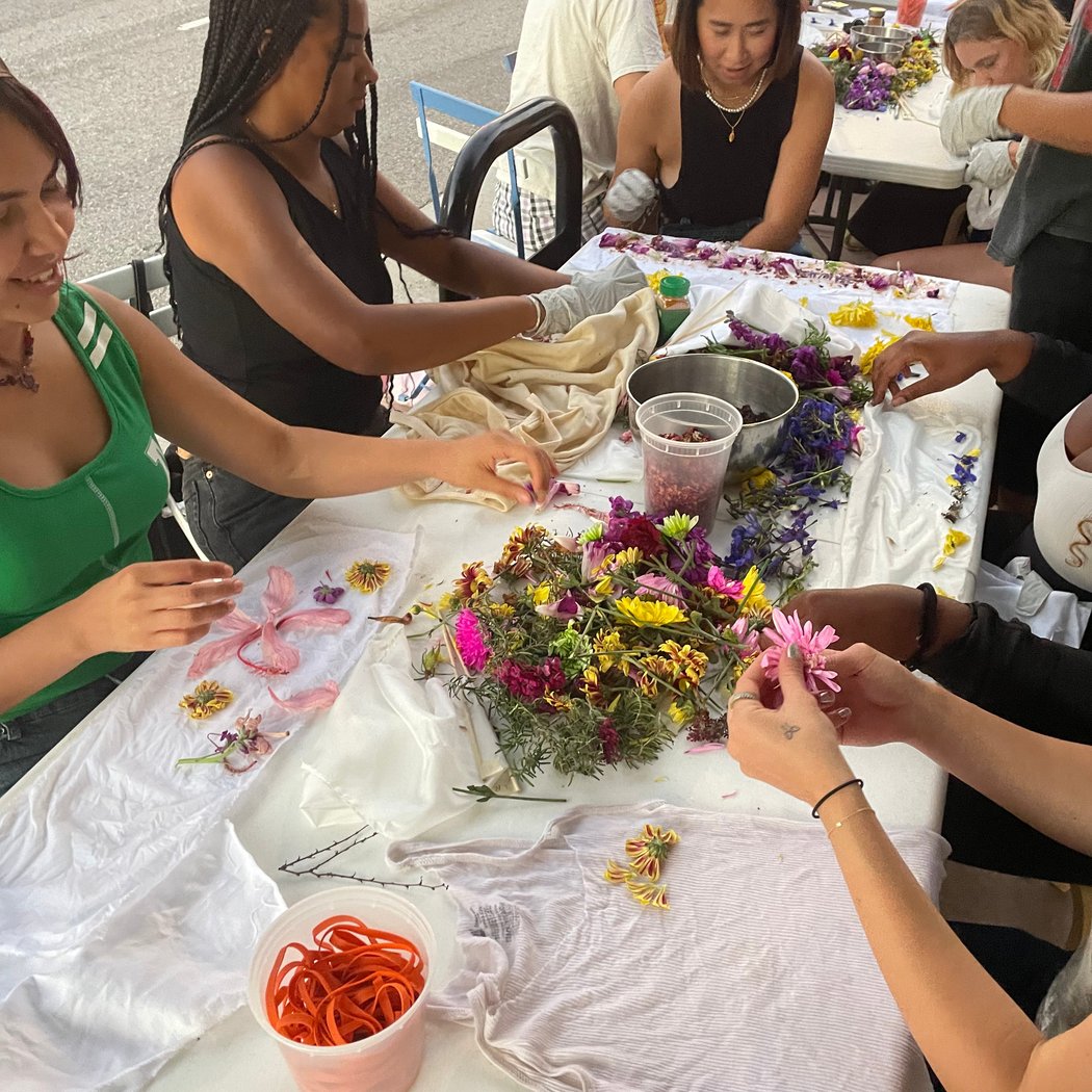 Natural Dye Workshop 3