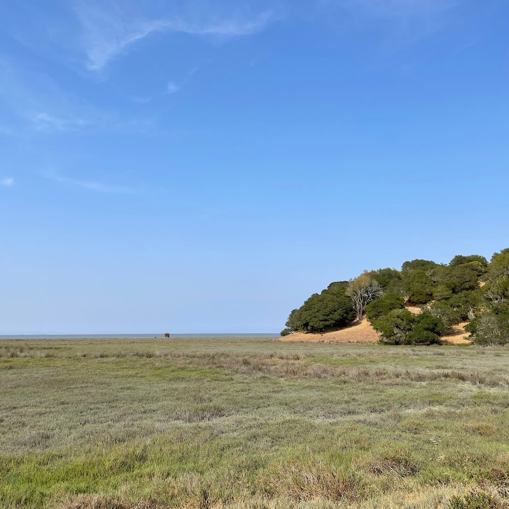 Miwok Meadows 3