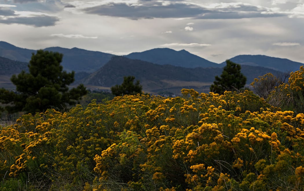 Chatfield Clean-Up Day 3