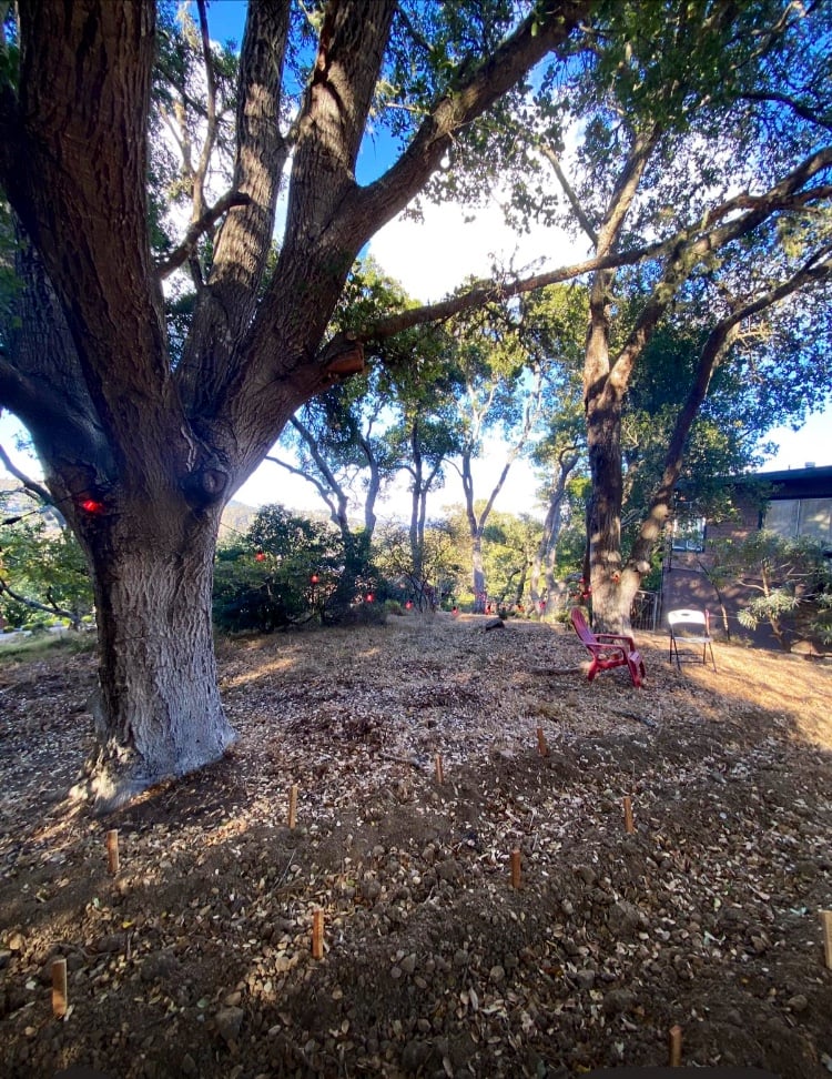 Tam Valley Community Garden 2