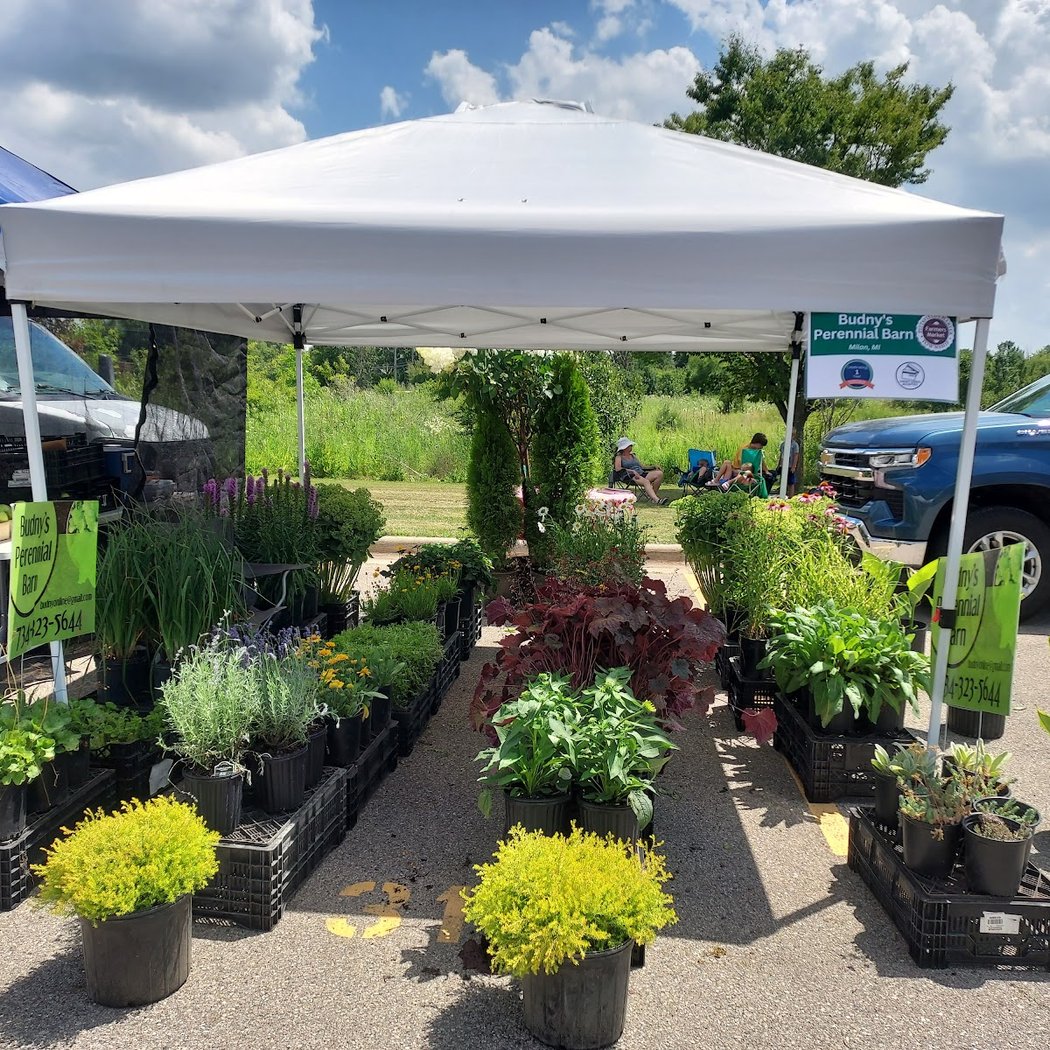 Pittsfield Township Farmers Market 2