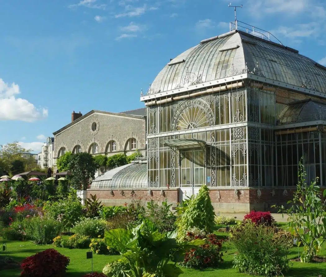 Jardin des Plantes 1