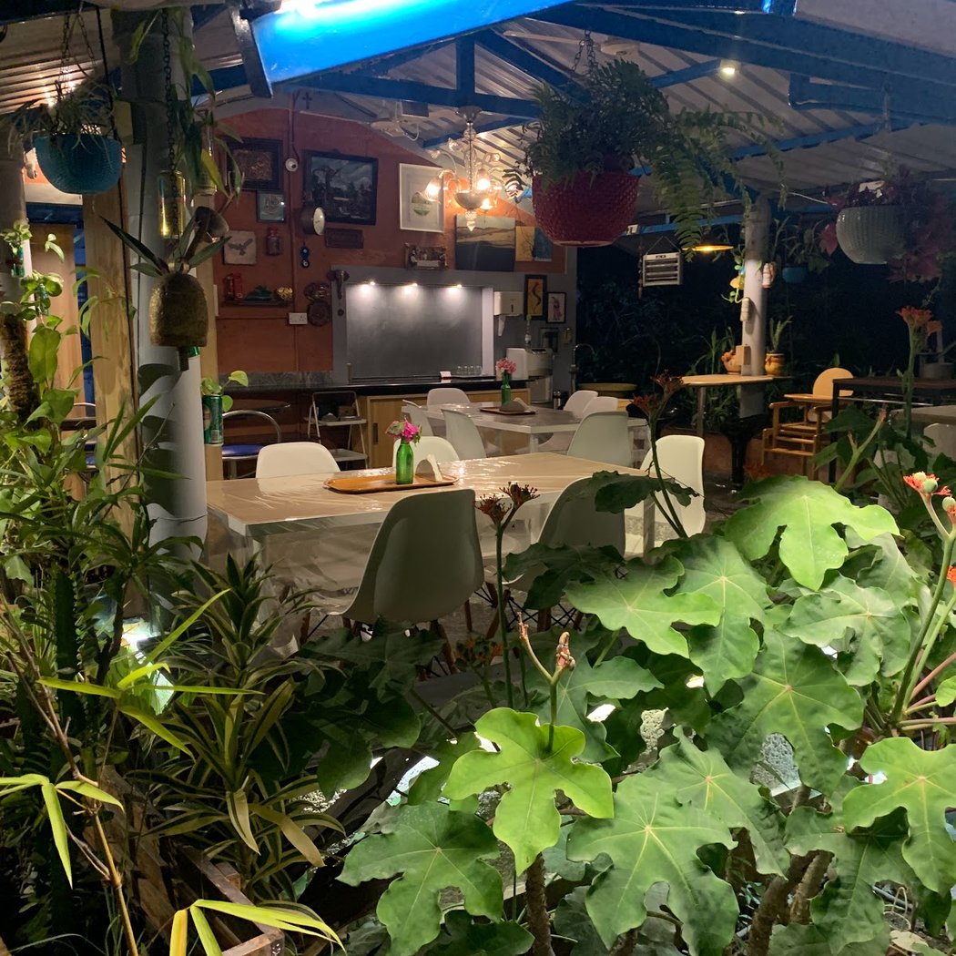 Wilderness Jungle Camp 1